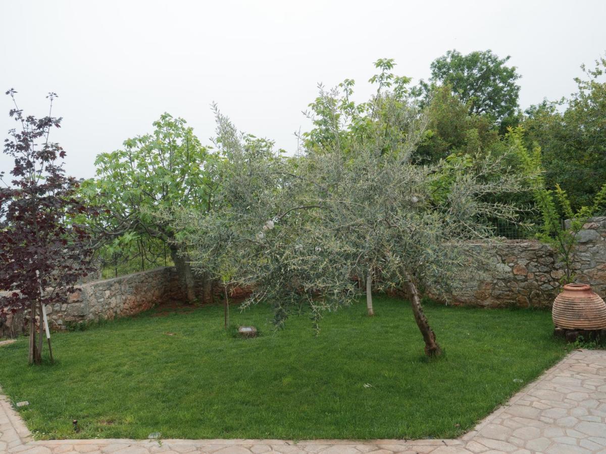 Vintage Stone-Built Country Cottage In Richea Kouloureika Екстер'єр фото
